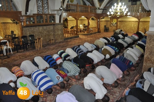 trawe7 mahmodiya 713 (41).JPG